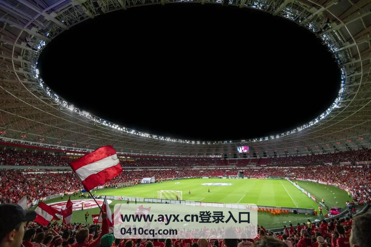 www.ayx.cn登录入口登录环境异常验证加严说明