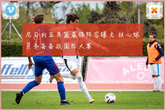 尼日利亚男篮最强阵容曝光 核心球员齐备备战国际大赛