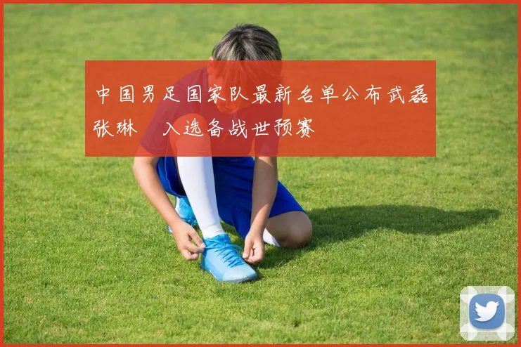 中国男足国家队最新名单公布武磊张琳芃入选备战世预赛
