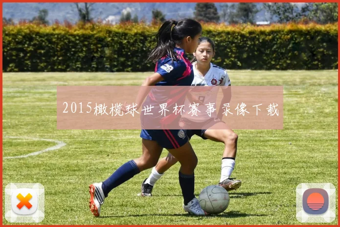 2015橄榄球世界杯赛事录像下载