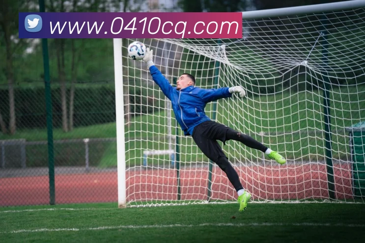 星空入口网页版官方版平台生态图