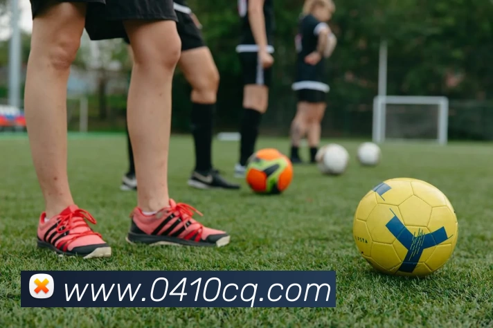 星空入口网页版官方版全站App